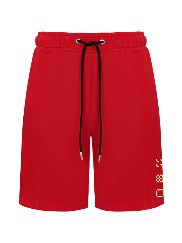 Шорты CORE RED IRIDIUM