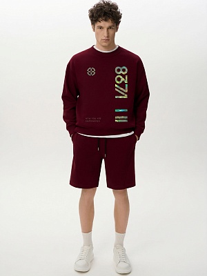 Свитшот BASE DARK RED IRIDIUM