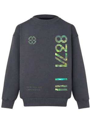 Свитшот BASE ASPHALT IRIDIUM 